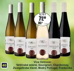 Adam Vina Ostrovec Veltlinske zelené nabídka