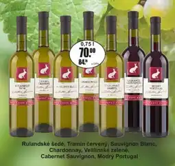 Adam Rulandské šedé, Tramín červený, Sauvignon Blanc, Chardonnay, Veltlínské zelené, Cabernet Sauvignon, Modrý Portugal nabídka