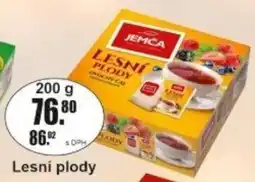 Adam Jemča lesní plody nabídka