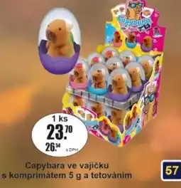 Adam Capybara ve vajíčku nabídka