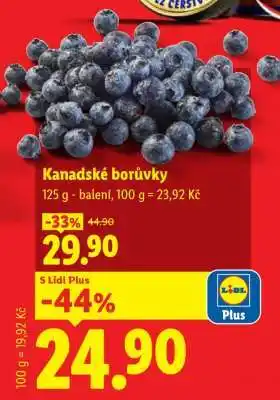 KANADSKÉ BORŮVKY