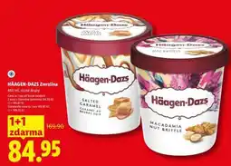 Lidl HÄAGEN DAZS Zmrzlina nabídka
