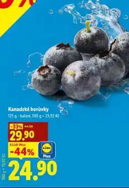 Lidl KANADSKÉ BORŮVKY nabídka