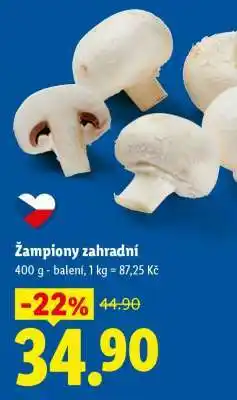 Lidl ŽAMPIONY ZAHRADNÍ nabídka