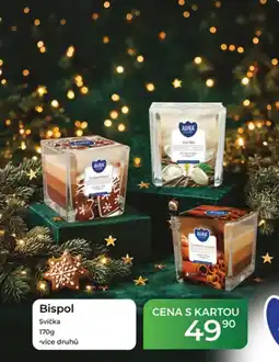 Tamda Foods Bispol svíčka nabídka