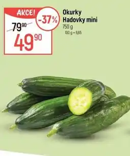 Globus Okurky Hadovky mini nabídka