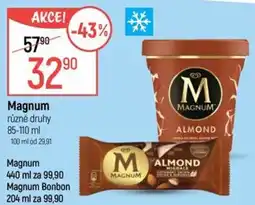 Globus Magnum různé druhy nabídka