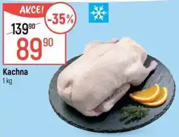 Globus Kachna nabídka