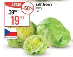 Globus Salát ledový nabídka