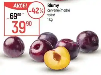 Globus Blumy nabídka