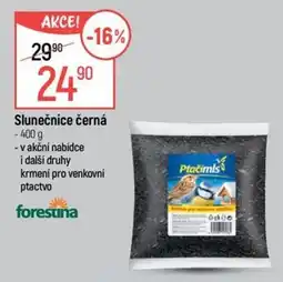 Globus Ptačímis slunečnice černá nabídka