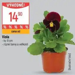 Globus Viola nabídka