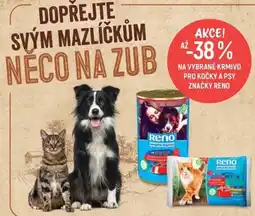 Globus Reno krmivo pro kočky a psy nabídka