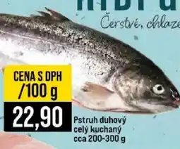 Jip Hybri Pstruh duhový nabídka