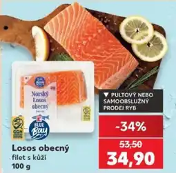 Kaufland Blue Bay losos obecný nabídka