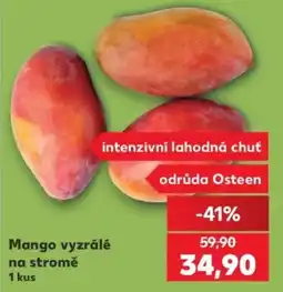 Kaufland Mango vyzrálé na stromě nabídka