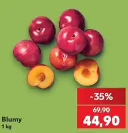 Kaufland Blumy nabídka