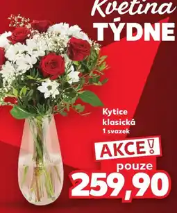 Kaufland Kvetina týdne nabídka
