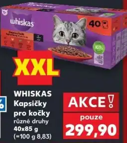 Kaufland Whiskas kapsičky pro kočky různé druhy nabídka