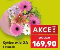 Kaufland Kytice mix 2A nabídka