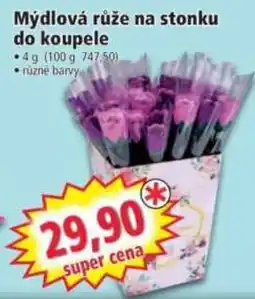 Norma Mýdlová růže na stonku nabídka