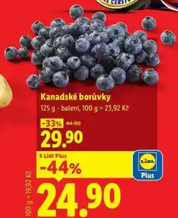 Lidl Kanadské borůvky nabídka