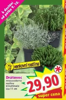 Norma DRÁTOVEC nabídka
