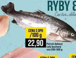 Jip Pstruh duhový celý kuchaný cca 200-300 g nabídka