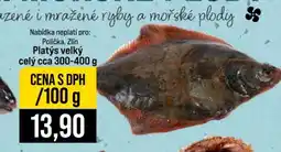 Jip PLATÝS VELKÝ nabídka