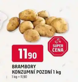 Trefa BRAMBORY KONZUMNÍ POZDNÍ nabídka