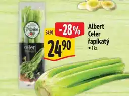 Albert Albert celer řapíkatý 1ks nabídka