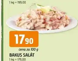Trefa BAKUS SALÁT nabídka