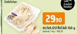 Trefa HLÍVA ÚSTŘIČNÁ 150 g balená nabídka