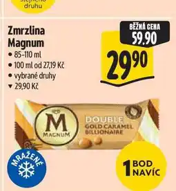 Albert Zmrzlina Magnum nabídka