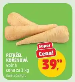 Penny Market Petržel kořenová nabídka