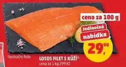 Penny Market Losos – filet s kůží nabídka