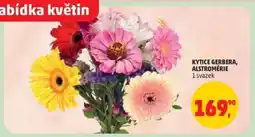 Penny Market Kytice Gerbera, Alstromerie nabídka