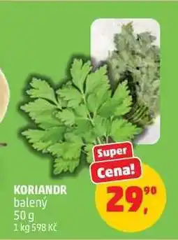 Penny Market Koriandr balený nabídka