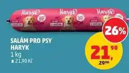 Penny Market SALÁM PRO PSY HARYK nabídka