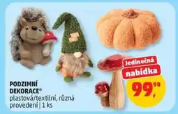 Penny Market PODZIMNÍ DEKORACE nabídka