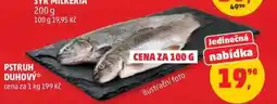 Penny Market Pstruh duhový nabídka