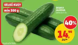 Penny Market OKURKA SALÁTOVÁ nabídka