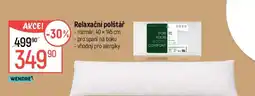Globus Relaxační polštář nabídka