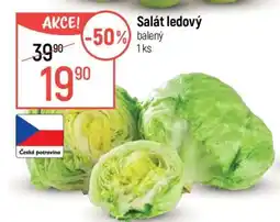 Globus Salát ledový nabídka