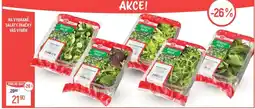 Globus Vybrané saláty značky Váš Výběr nabídka