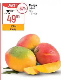 Globus Mango balené nabídka