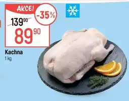 Globus KACHNA nabídka