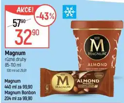 Globus Magnum nabídka
