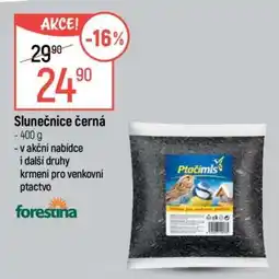 Globus Slunečnice černá nabídka