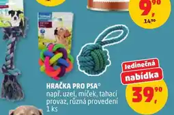 Penny Market Hračka pro psa nabídka